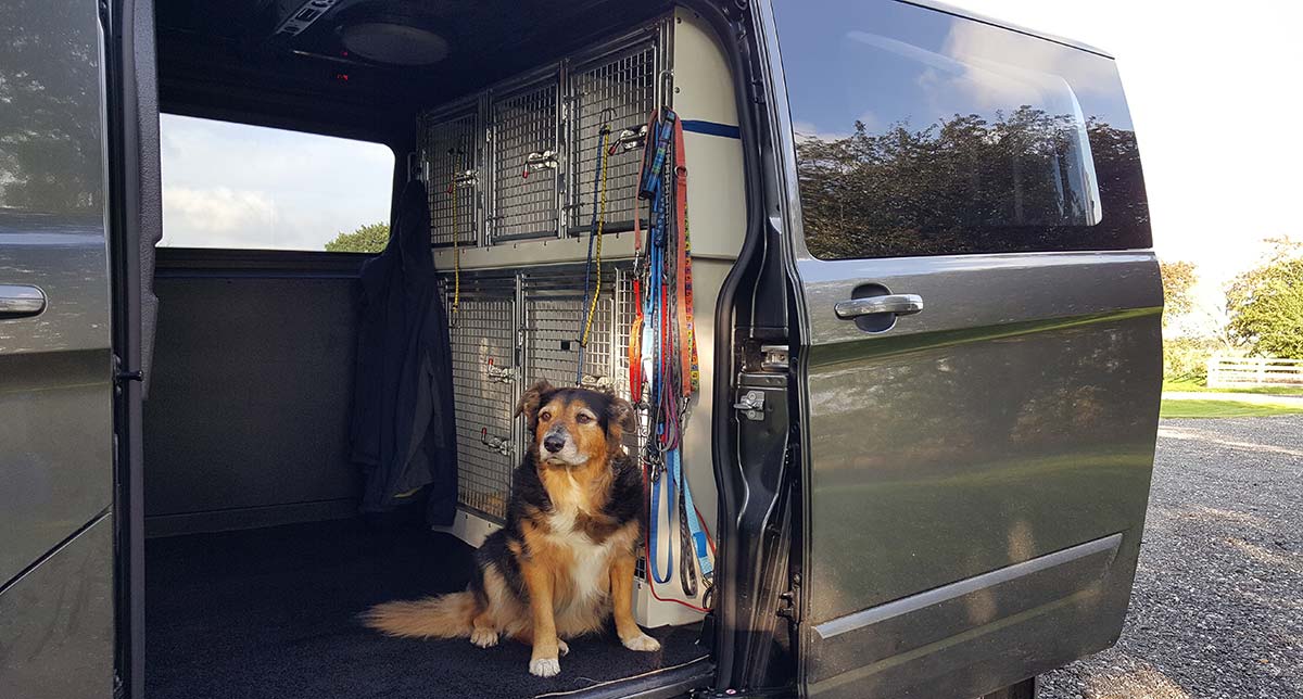 Custom Dog Transport Van