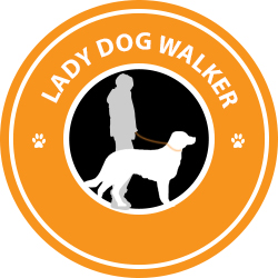 East Leeds Lady Dog Walker