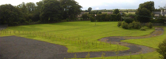 Lady Dog Walker Private Dog Walking Park